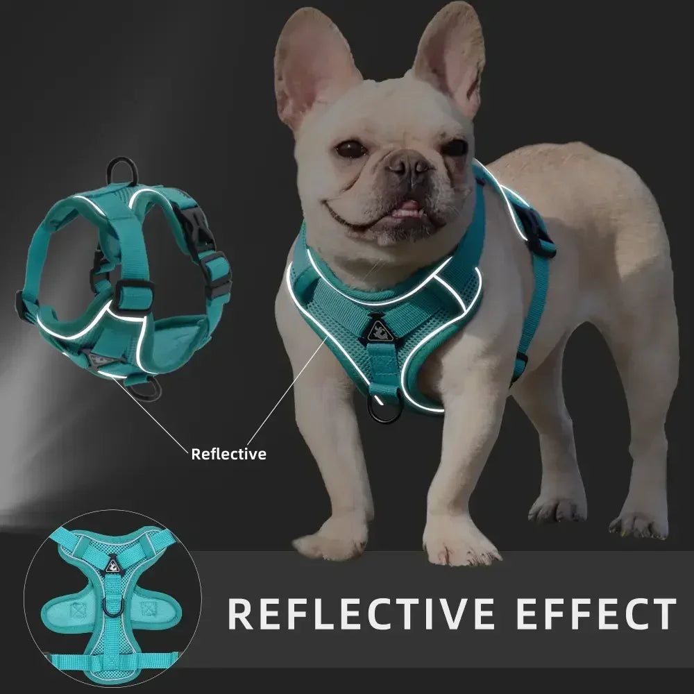 No-Pull Reflective Dog Harness & Leash Set